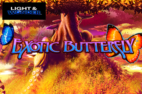 Exotic Butterfly
